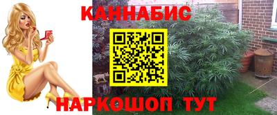 индика Усть-Илимск
