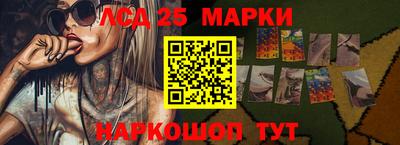 индика Усть-Илимск