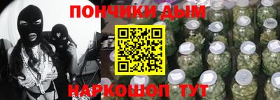 индика Усть-Илимск