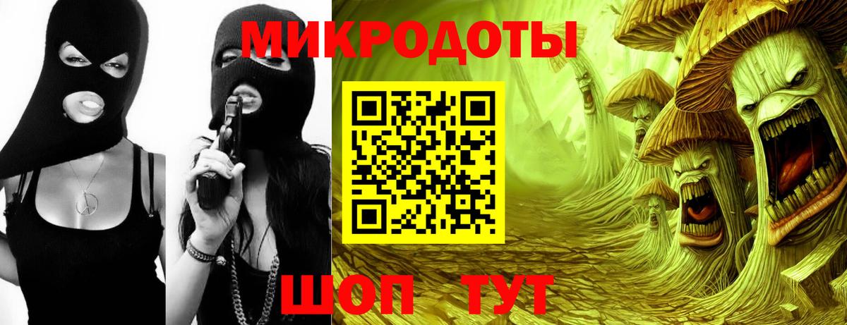 Галлюциногенные грибы Psilocybe Троицк