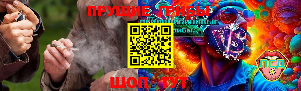 Галлюциногенные грибы Psilocybe  Вход с VPN  Псилоцибиновые грибы ЛСД  Троицк 
